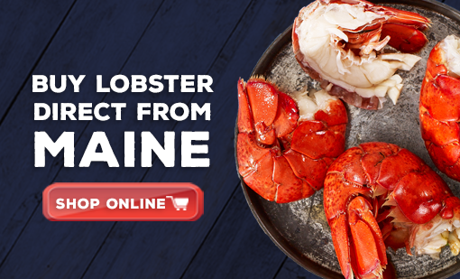 Choose Maine Lobster, Support The Maine Lobster Industry