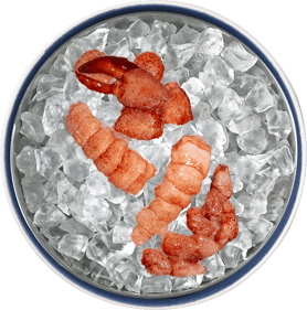 Frozen Raw Maine Lobster